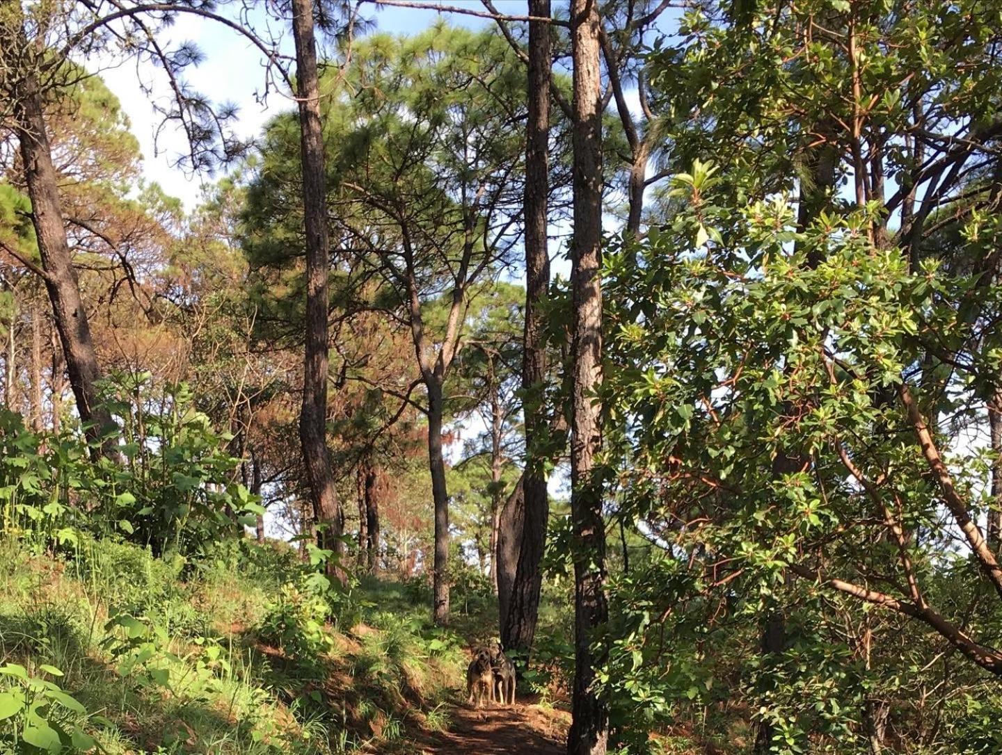 Mi Casa De Valle Valle de Bravo Εξωτερικό φωτογραφία